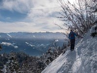 Charvet Pravouta 31-01-2026